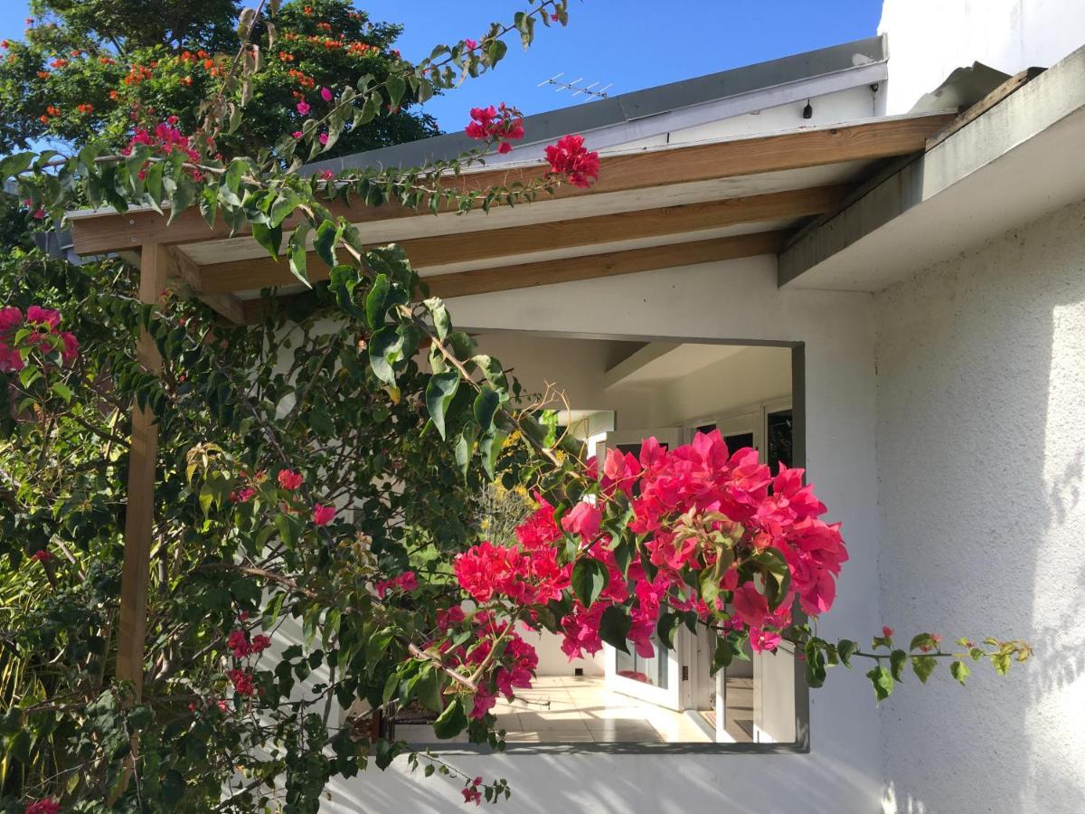Ancella'S Garden Apartment-Beach-5Min Drive, 1 Hr Montego Bay, 25 Mins Ocho Rios, Continental Breakfast Runaway Bay Bagian luar foto