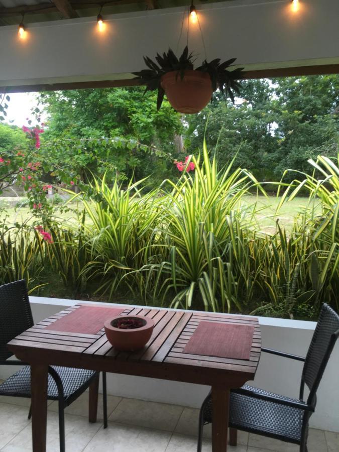 Ancella'S Garden Apartment-Beach-5Min Drive, 1 Hr Montego Bay, 25 Mins Ocho Rios, Continental Breakfast Runaway Bay Bagian luar foto