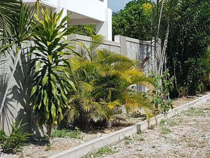 Ancella'S Garden Apartment-Beach-5Min Drive, 1 Hr Montego Bay, 25 Mins Ocho Rios, Continental Breakfast Runaway Bay Bagian luar foto