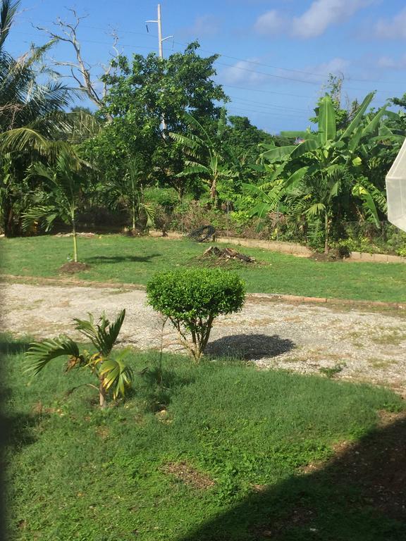 Ancella'S Garden Apartment-Beach-5Min Drive, 1 Hr Montego Bay, 25 Mins Ocho Rios, Continental Breakfast Runaway Bay Bagian luar foto
